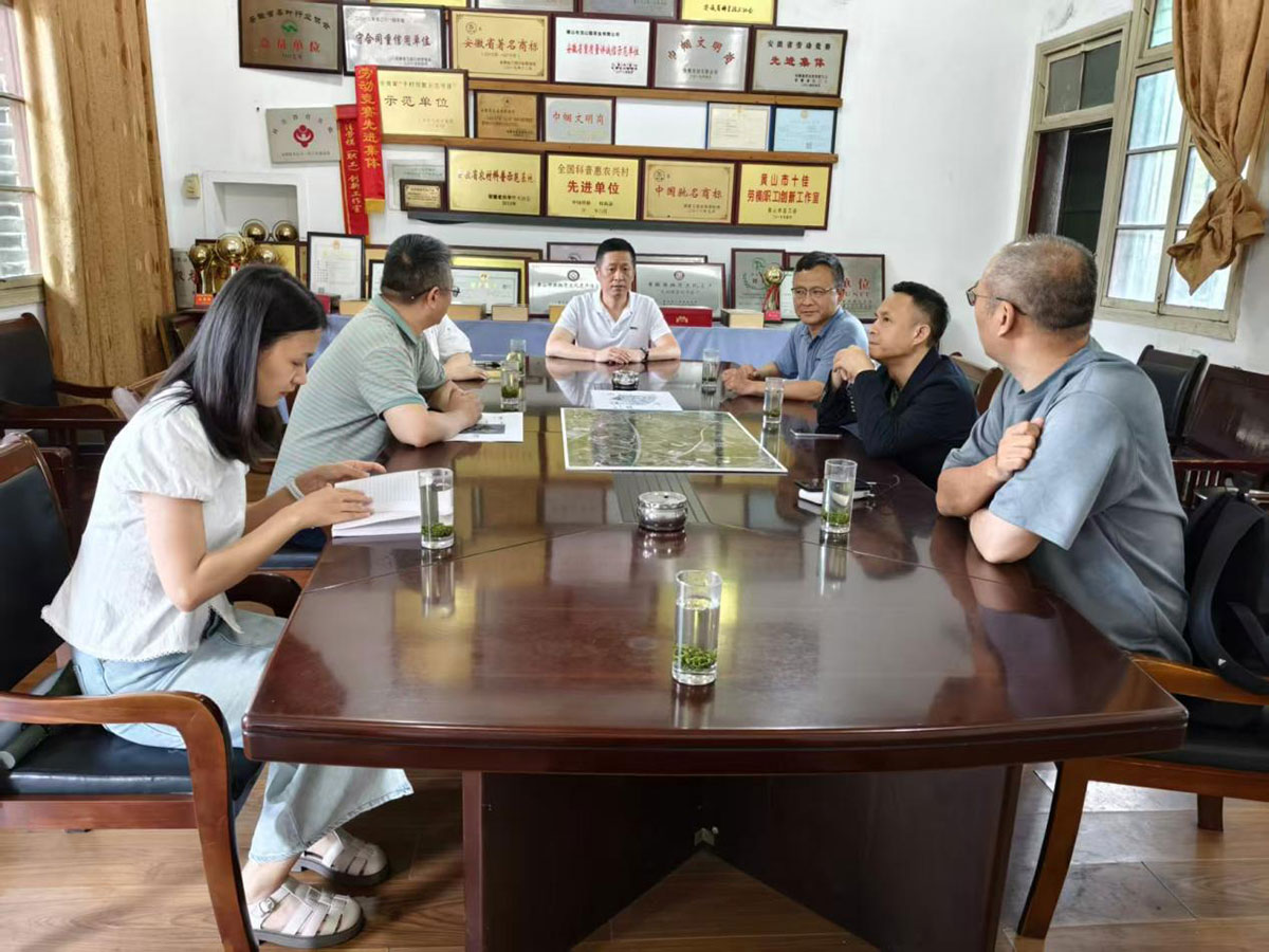 江蘇外聯(lián)采考察團到實驗茶場考察，共商茶產(chǎn)業(yè)合作新藍圖